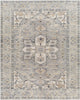 Surya Palais PAL-2306 Area Rug main image