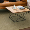 Karastan Paloma Lichen Area Rug by Drew and Jonathan Lifestyle Image Feature