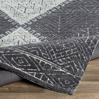 Livabliss Padma PAM-2301 Area Rug