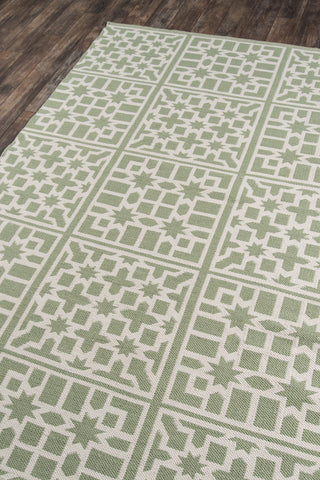 Momeni Palm Beach PAM-1 Green Area Rug by MADCAP Corner Image