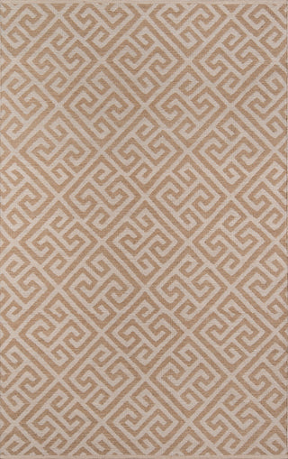 Momeni Palm Beach PAM-4 Brown Area Rug by MADCAP main image