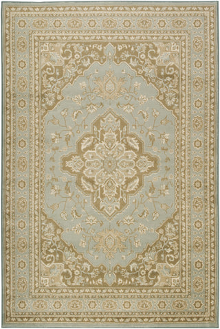 Surya Paramount PAR-1006 Area Rug