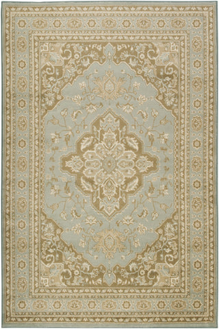 Surya Paramount PAR-1006 Mocha Machine Loomed Area Rug 5'3'' X 7'6''