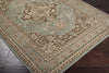 Surya Paramount PAR-1006 Area Rug