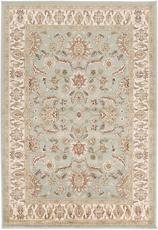 Surya Paramount PAR-1028 Olive Machine Loomed Area Rug 5'3'' X 7'6''