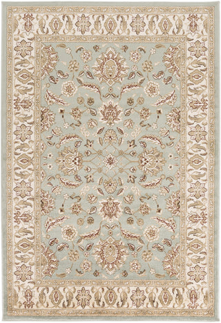 Surya Paramount PAR-1028 Area Rug