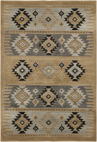 Livabliss Paramount PAR-1045 Area Rug