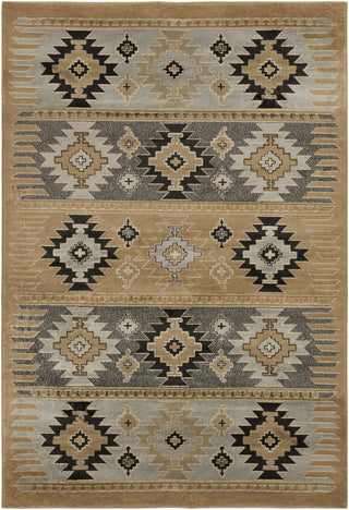 Surya Paramount PAR-1045 Taupe Machine Loomed Area Rug 5'3'' X 7'6''