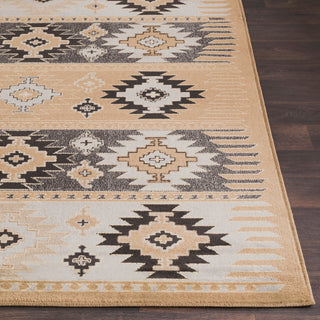 Livabliss Paramount PAR-1045 Area Rug