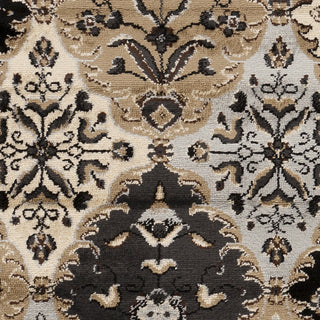 Surya Paramount PAR-1053 Chocolate Area Rug Sample Swatch