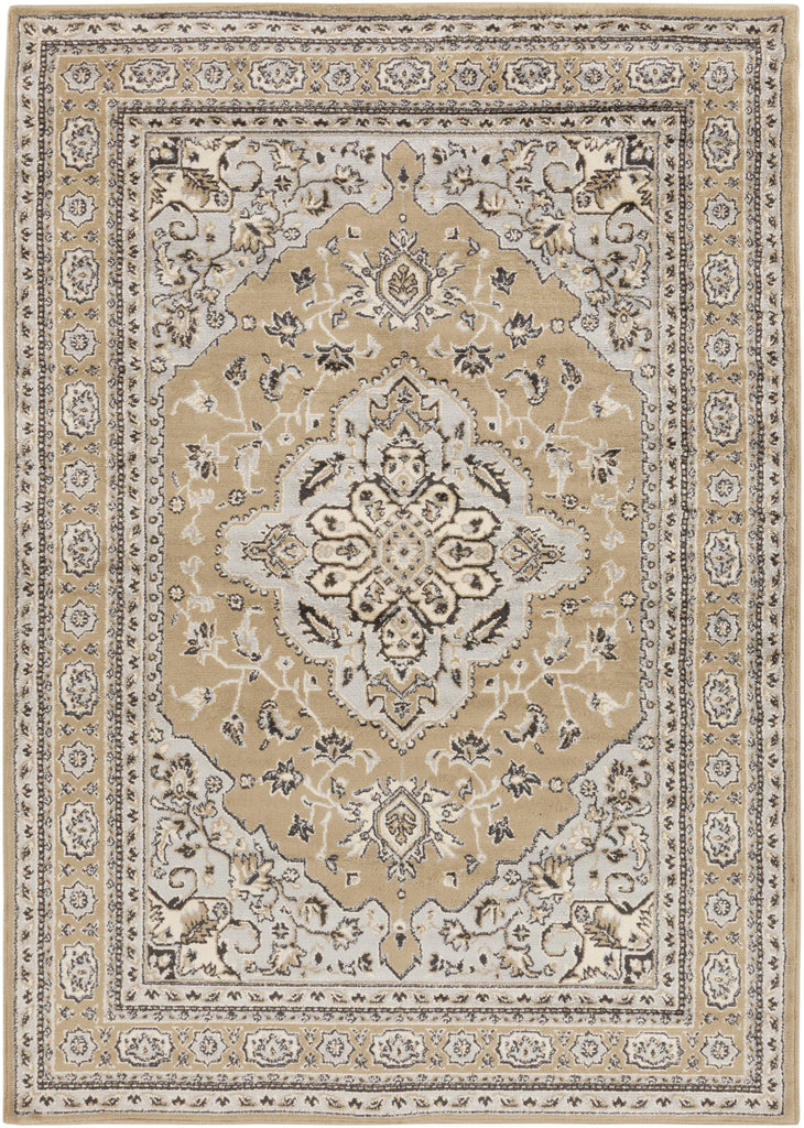 Surya Paramount PAR-1056 Area Rug main image