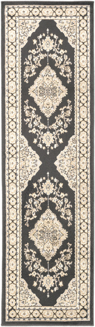 Surya Paramount PAR-1057 Light Gray Machine Loomed Area Rug 