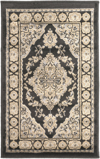 Surya Paramount PAR-1057 Light Gray Area Rug 2' x 3'