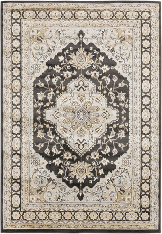 Surya Paramount PAR-1057 Light Gray Area Rug 5'3'' x 7'6''