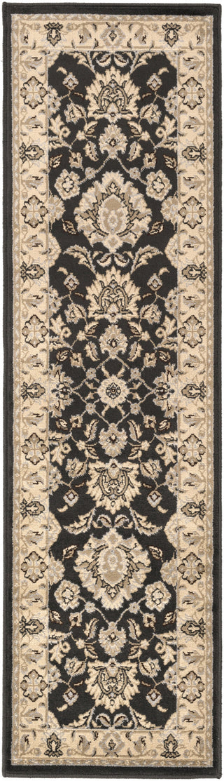 Surya Paramount PAR-1058 Charcoal Machine Loomed Area Rug 