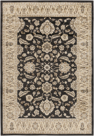 Surya Paramount PAR-1058 Charcoal Area Rug 5'3'' x 7'6''