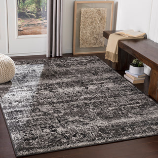 Surya Paramount PAR-1060 Area Rug Room Scene Feature