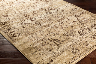 Surya Paramount PAR-1061 Area Rug Corner Shot