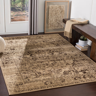 Surya Paramount PAR-1061 Area Rug Room Scene Feature