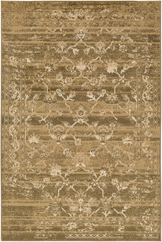 Paramount PAR-1062 Brown Area Rug by Surya 5'3'' X 7'6''