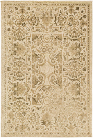 Paramount PAR-1064 White Area Rug by Surya 5'3'' X 7'6''