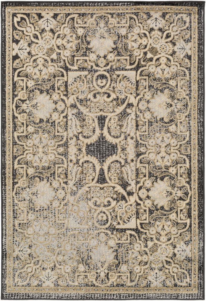 Surya Paramount PAR-1065 Black Area Rug main image