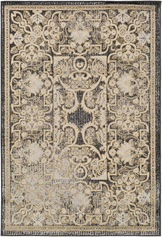 Surya Paramount PAR-1065 Black Area Rug main image