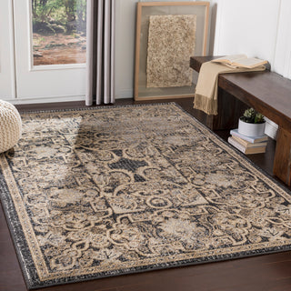 Surya Paramount PAR-1065 Area Rug Room Scene Feature