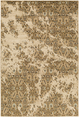 Surya Paramount PAR-1067 Brown Area Rug main image