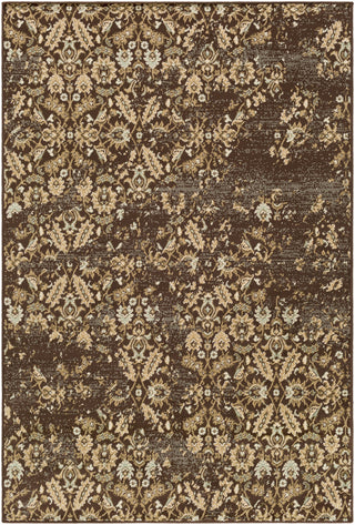 Paramount PAR-1068 Brown Area Rug by Surya 5'3'' X 7'6''