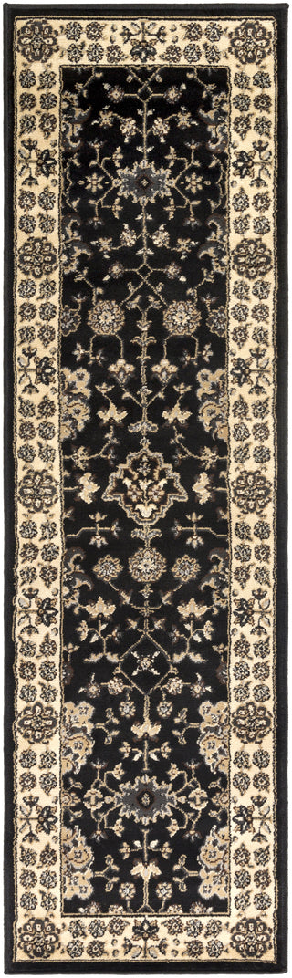 Surya Paramount PAR-1070 Area Rug