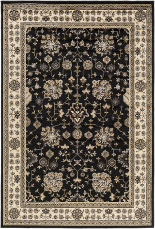 Surya Paramount PAR-1070 Area Rug