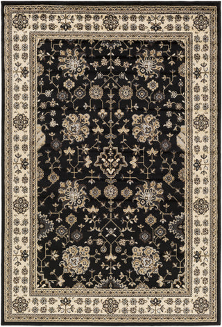 Paramount PAR-1070 Black Area Rug by Surya 5'3'' X 7'6''