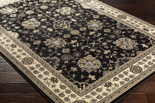 Surya Paramount PAR-1070 Area Rug