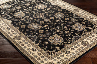 Surya Paramount PAR-1070 Area Rug