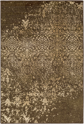 Paramount PAR-1071 Brown Area Rug by Surya 5'3'' X 7'6''