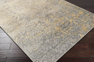 Surya Paramount PAR-1074 Area Rug