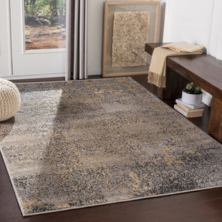 Surya Paramount PAR-1074 Area Rug Room Scene Feature