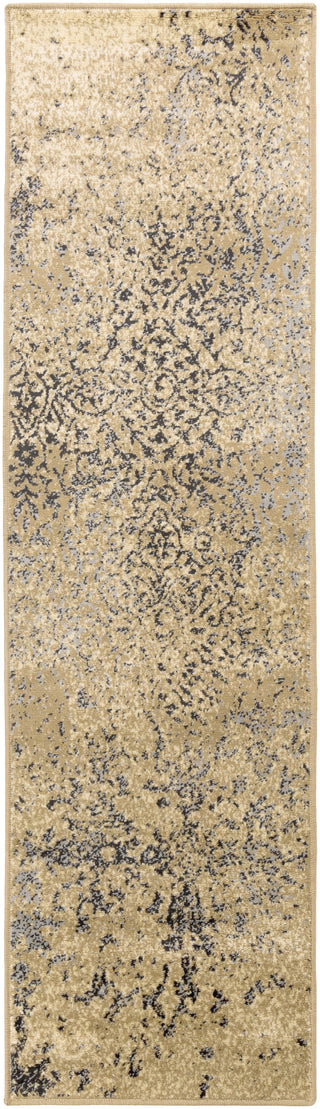 Paramount PAR-1075 Brown Machine Woven Area Rug by Surya 2'2'' X 7'6'' Runner