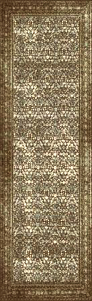 Paramount PAR-1076 Brown Machine Woven Area Rug by Surya 2'2'' X 7'6'' Runner