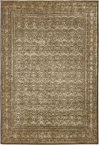 Surya Paramount PAR-1076 Area Rug