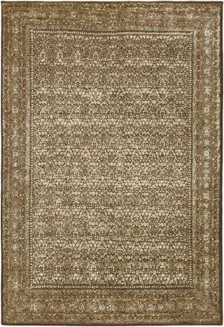 Paramount PAR-1076 Brown Area Rug by Surya 5'3'' X 7'6''