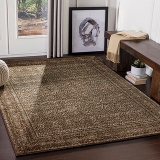 Surya Paramount PAR-1076 Area Rug Room Scene Feature