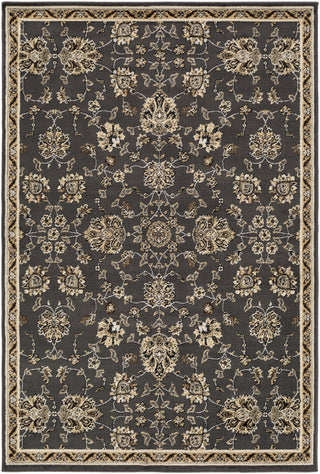 Surya Paramount PAR-1077 Black Area Rug main image