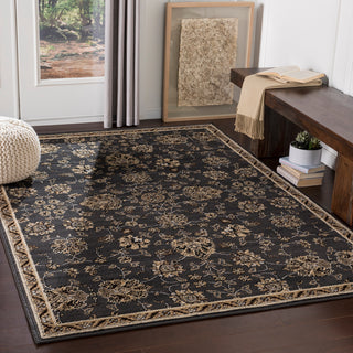 Surya Paramount PAR-1077 Area Rug Room Scene Feature