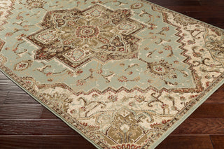 Surya Paramount PAR-1080 Area Rug Corner Shot