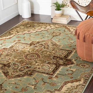 Surya Paramount PAR-1080 Area Rug Room Scene Feature