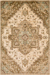 Surya Paramount PAR-1081 Dark Brown Sage Khaki Beige Area Rug Mirror main image