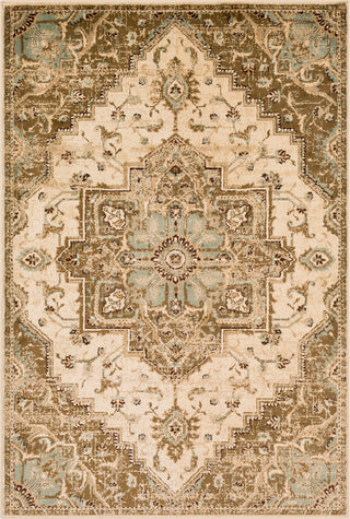 Surya Paramount PAR-1081 Dark Brown Sage Khaki Beige Area Rug Mirror main image