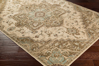 Surya Paramount PAR-1081 Area Rug Corner Shot